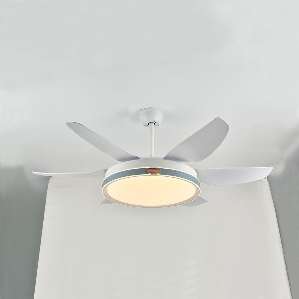 Haydn, Ventilateur de Plafond à 6 Pales, 4 Couleurs, D130CM