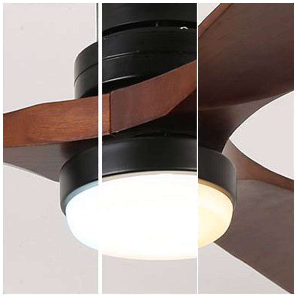 Haydn Ventilateur de Plafond à 3 Pales Noir et Rouge, D 132CM