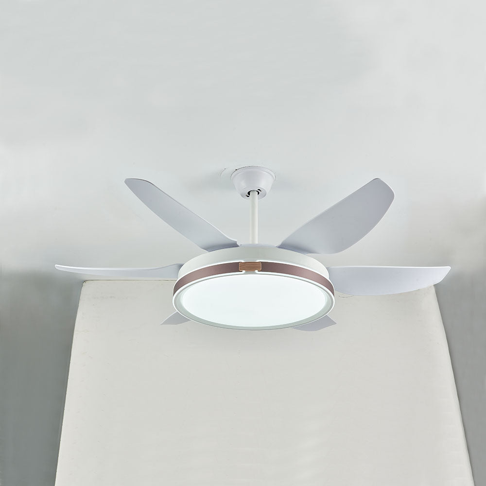 Haydn, Ventilateur de Plafond à 6 Pales, 4 Couleurs, D130CM