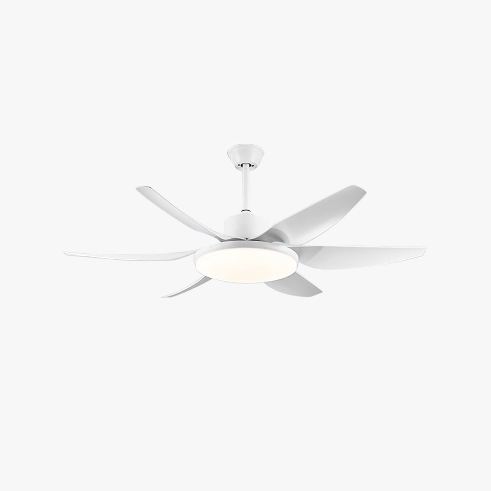 Haydn Ventilateur Rond Moderne, Métal, Blanc/Noir, Chambre