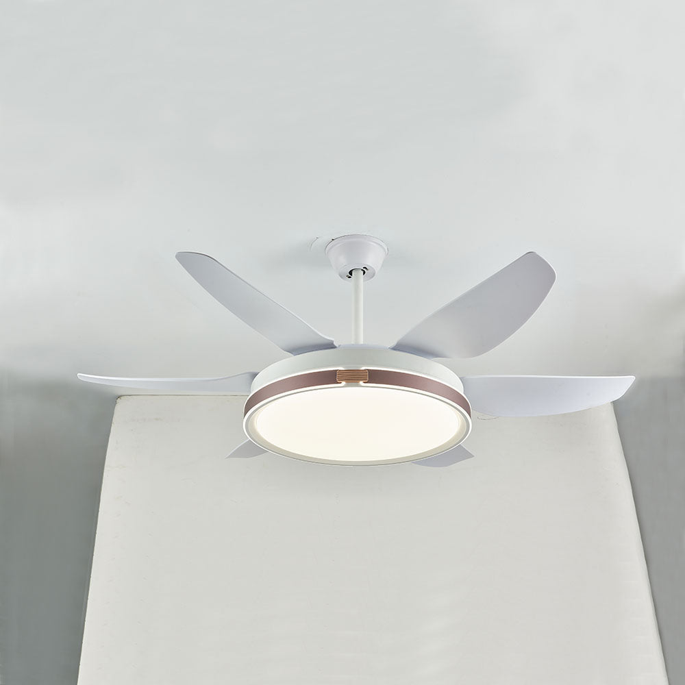 Haydn, Ventilateur de Plafond à 6 Pales, 4 Couleurs, D130CM