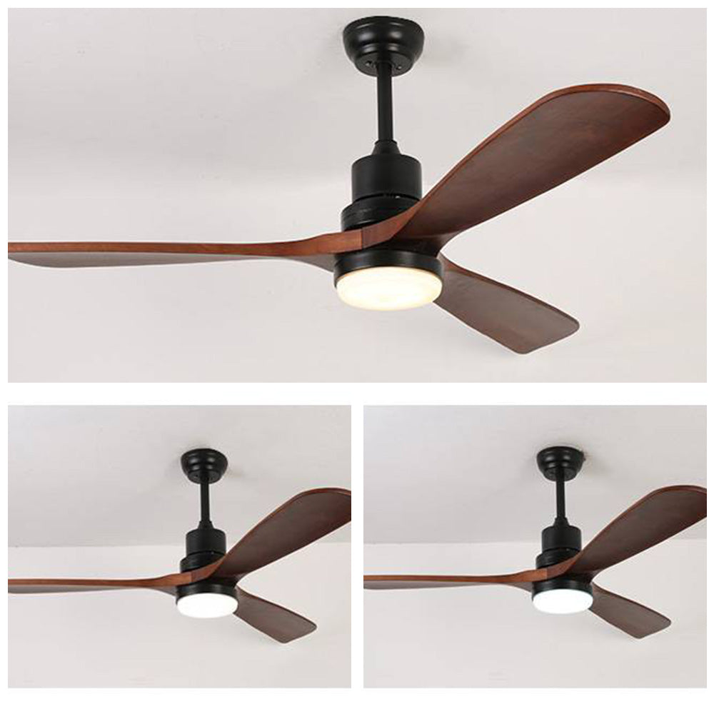 Haydn Ventilateur de Plafond à 3 Pales Noir et Rouge, D 132CM