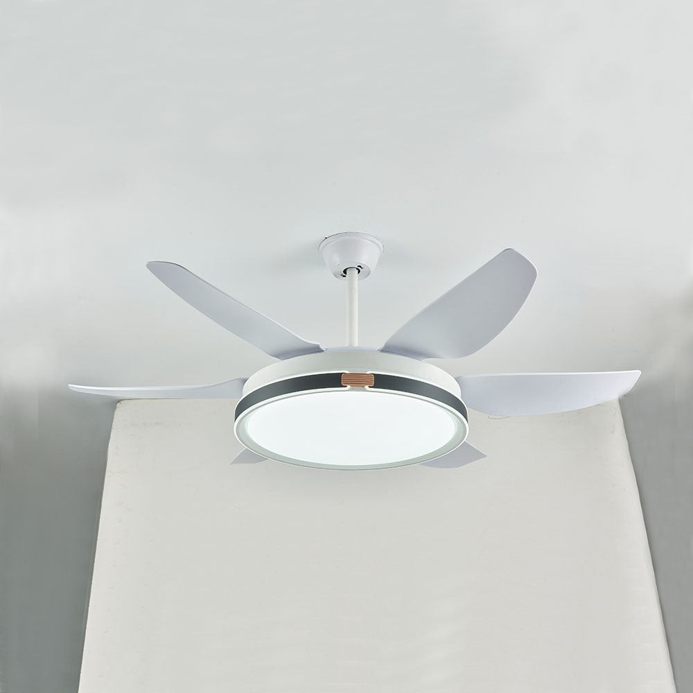 Haydn, Ventilateur de Plafond à 6 Pales, 4 Couleurs, D130CM